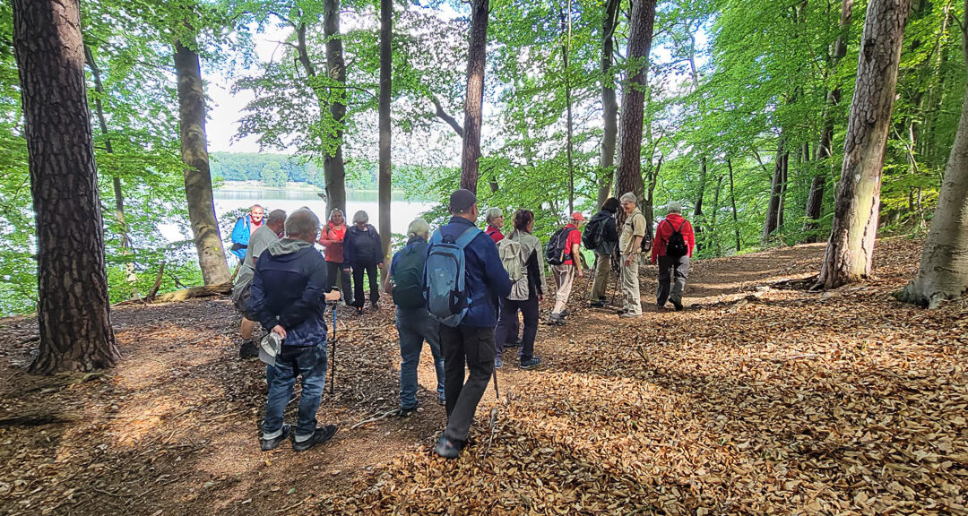 Zippelsförde – Boltenmühle