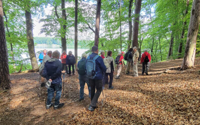 Zippelsförde – Boltenmühle