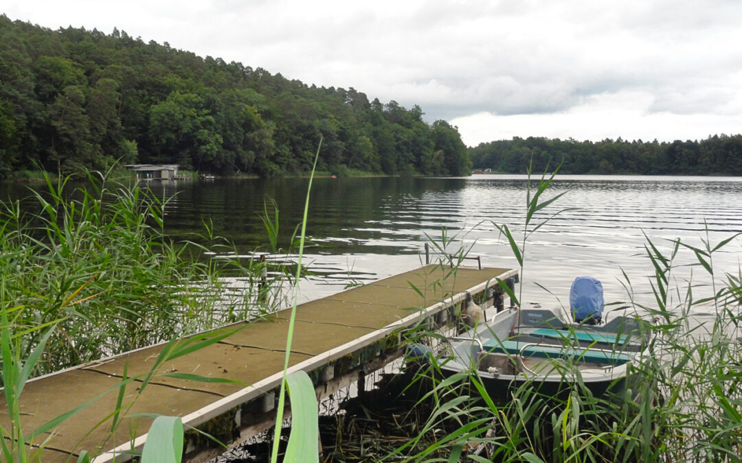 Rund um den Nebelsee
