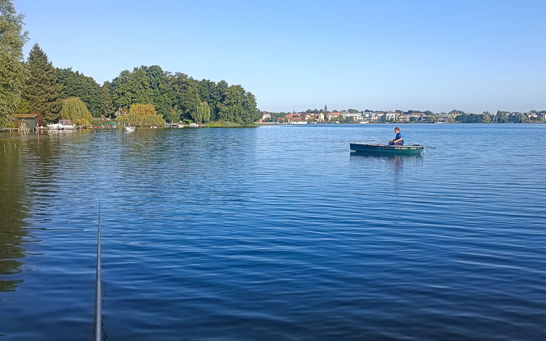 Angelboot mit Angler auf den Ruppiner See