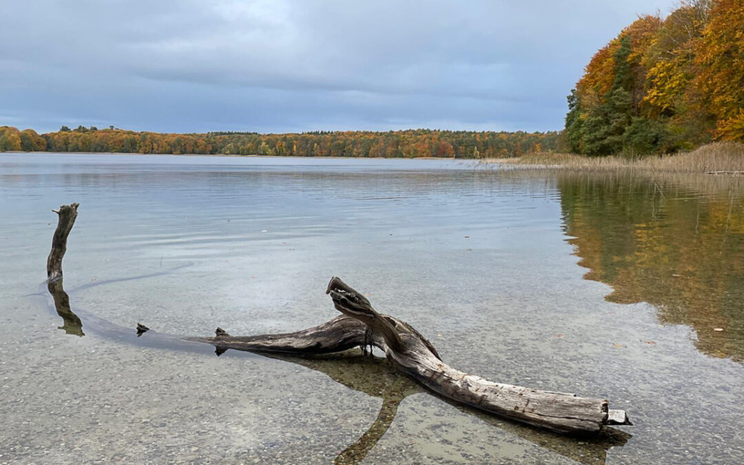 Großer und Kleiner Wummsee