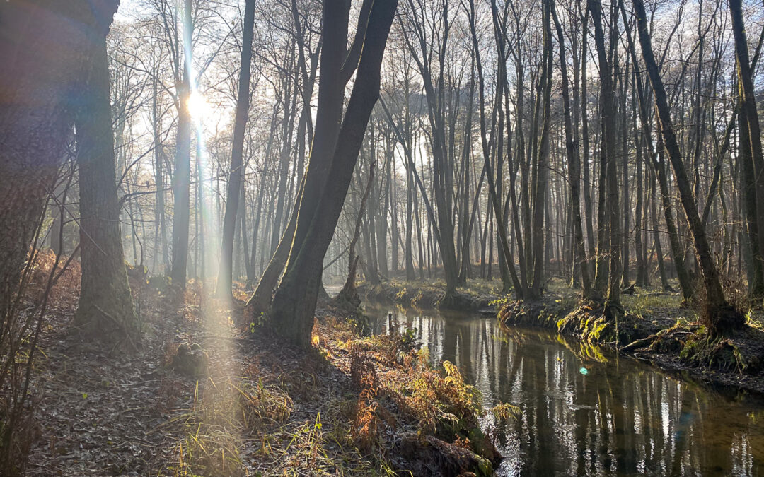 Rheinsberger Rhin und Hellberge