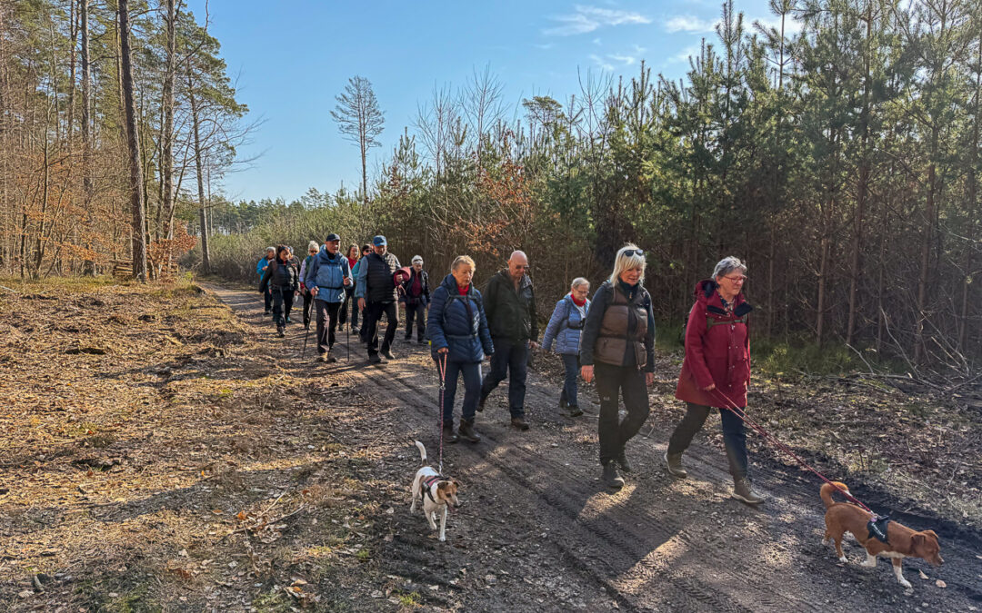 Wanderinnen und Wanderer bei gutem Wetter im Wald
