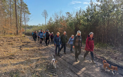 Rundwanderung Seewalde und Drosedow