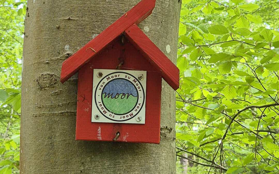 Von Moor zu Moor