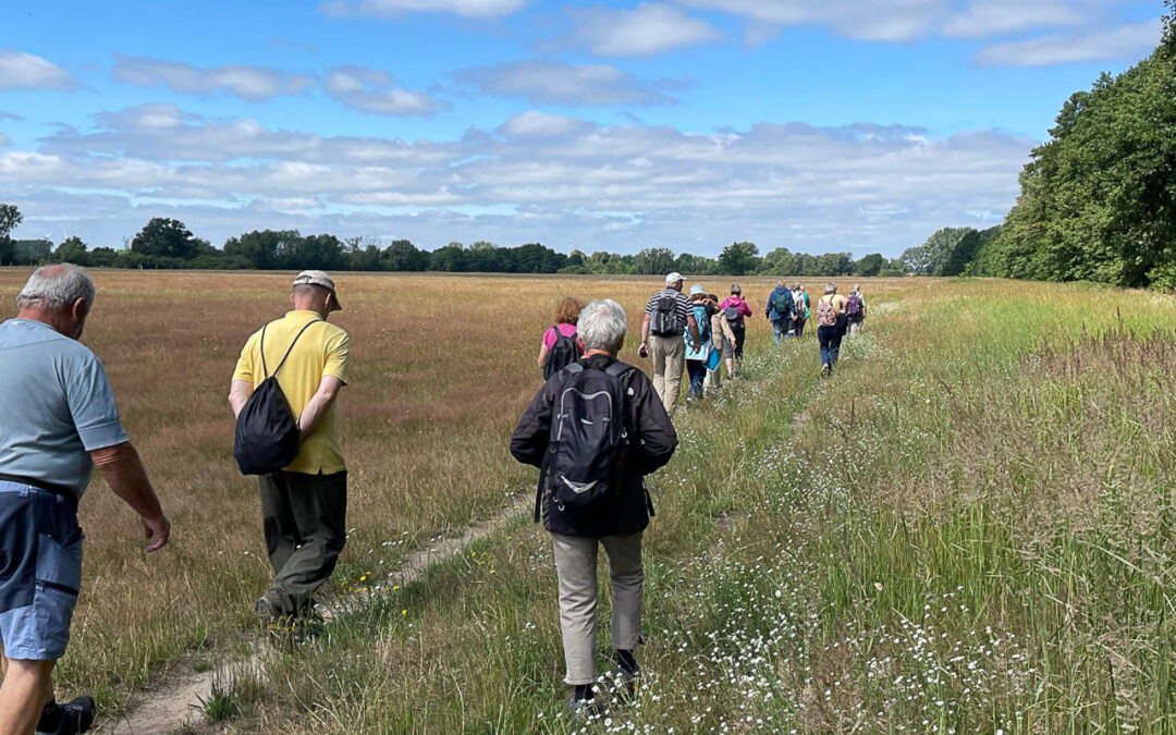 Wanderfreunde wandern über eine Wiese