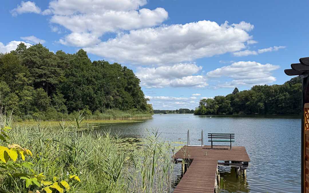 Blick auf den Nebelsee